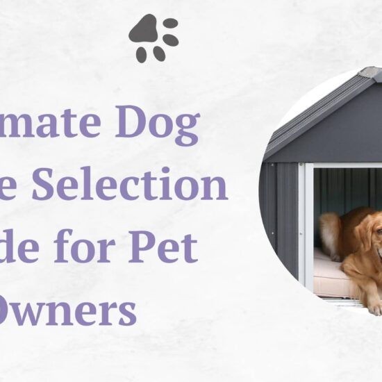 Ultimate Dog House Selection Guide for Pet Owners