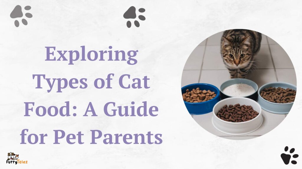 exploring types of cat food