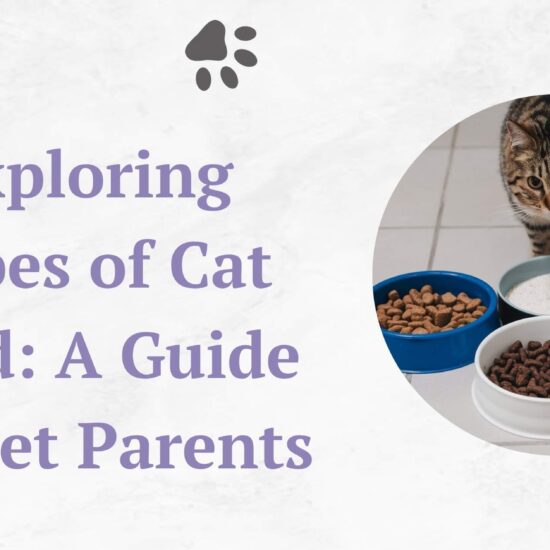 exploring types of cat food