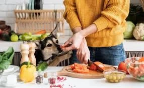 The Health Advantages of Organic Dog Food: