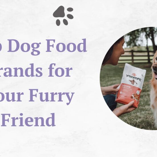 Top Dog Food Brands for Your Furry Friend