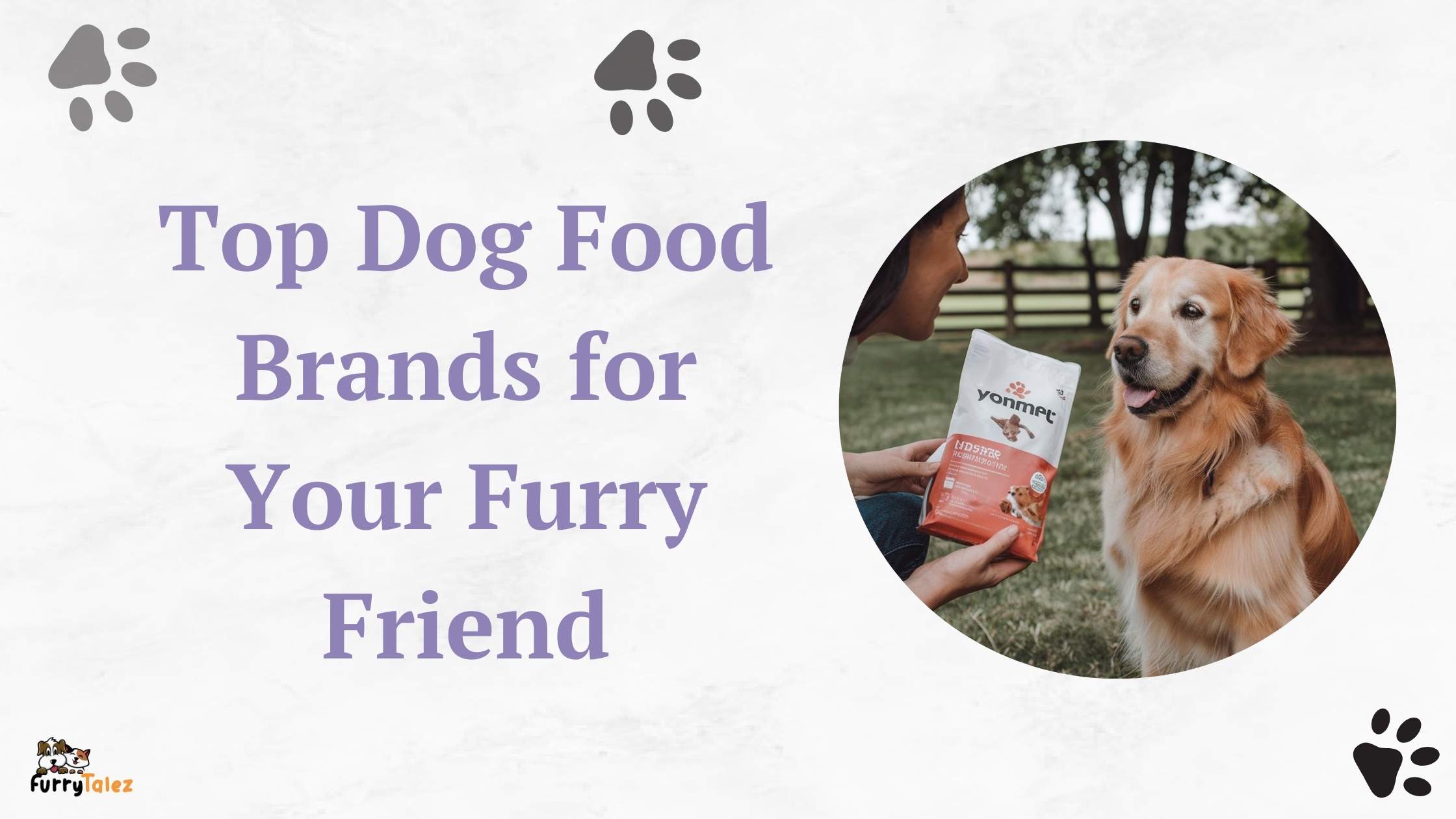 Top Dog Food Brands for Your Furry Friend