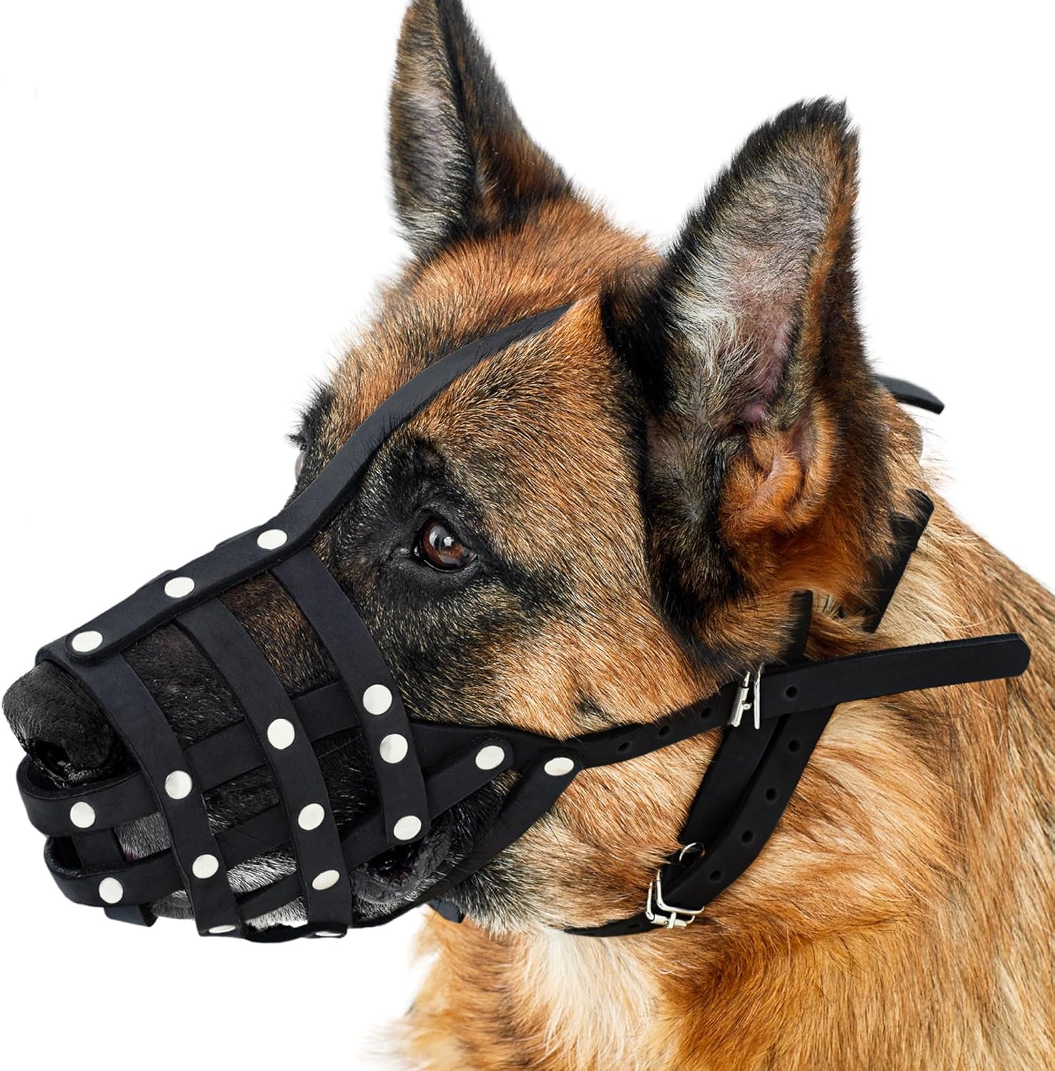 Collar Direct Dog Muzzle