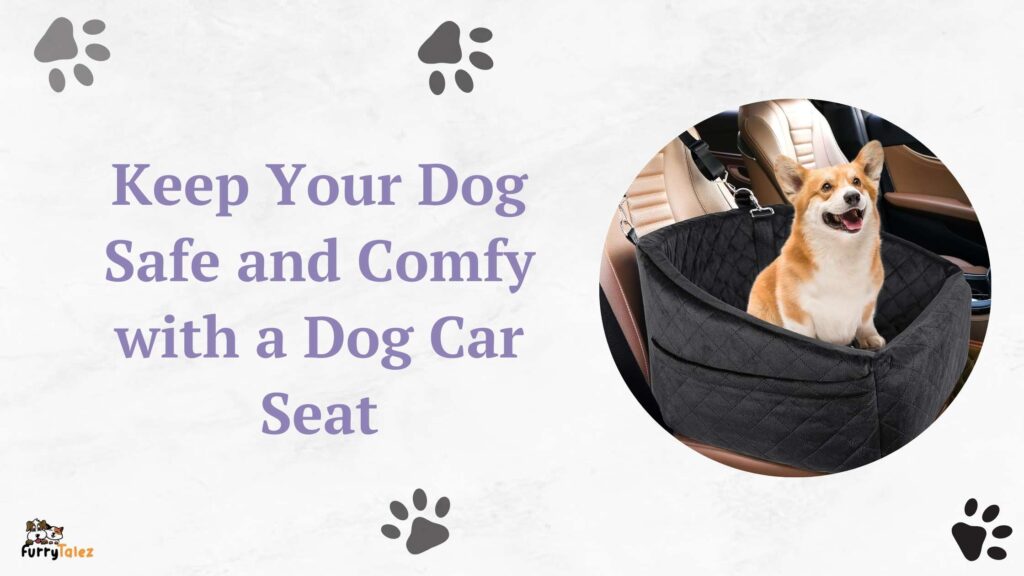 Keep Your Dog Safe and Comfy with a Dog Car Seat