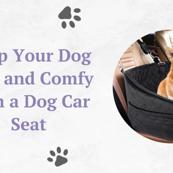 Keep Your Dog Safe and Comfy with a Dog Car Seat