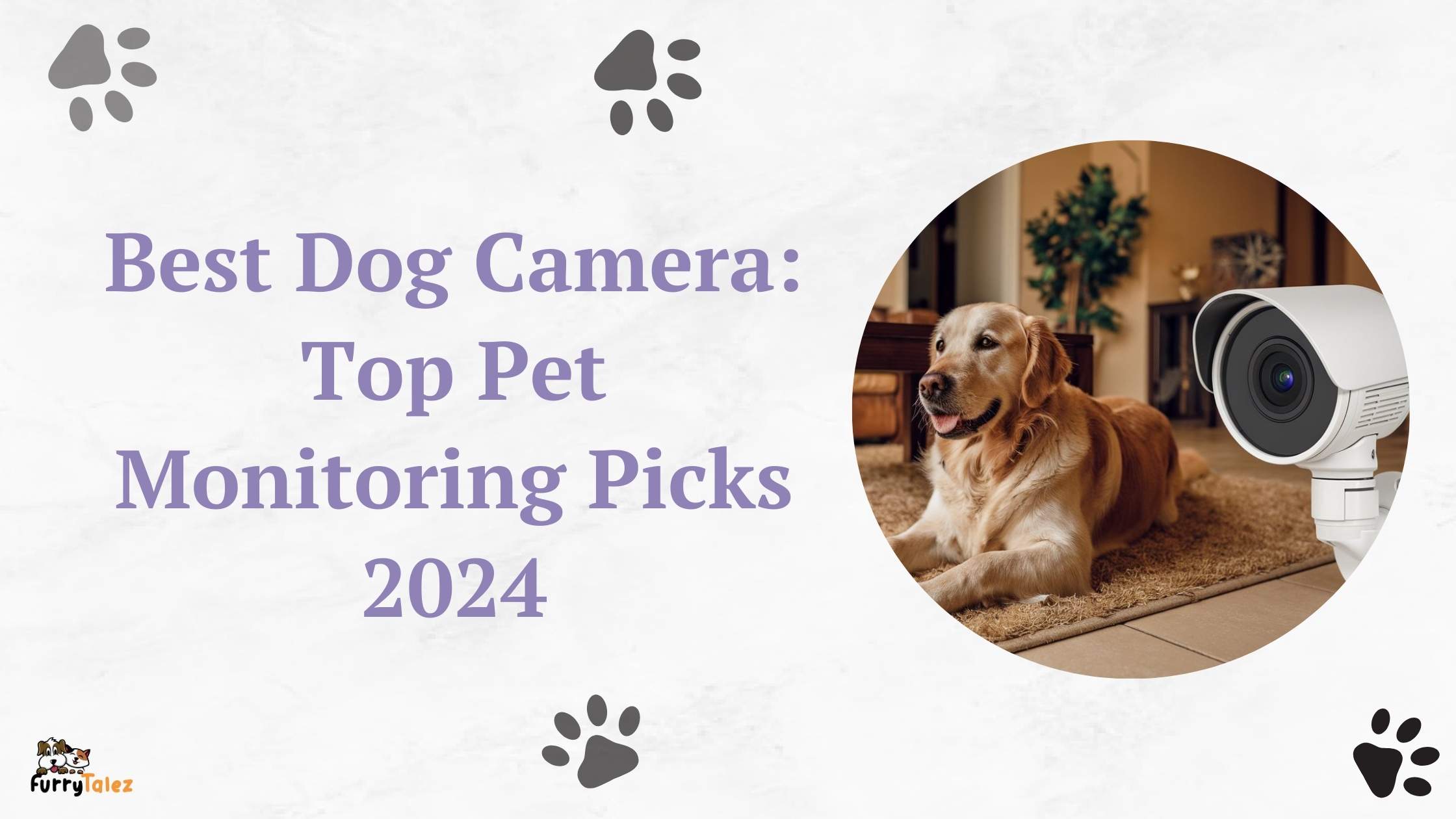 Best Dog Camera: Top Pet Monitoring Picks 2024