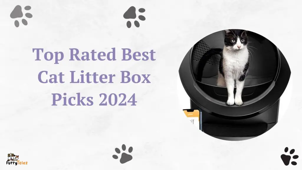 Top Rated Best Cat Litter Box Picks 2024