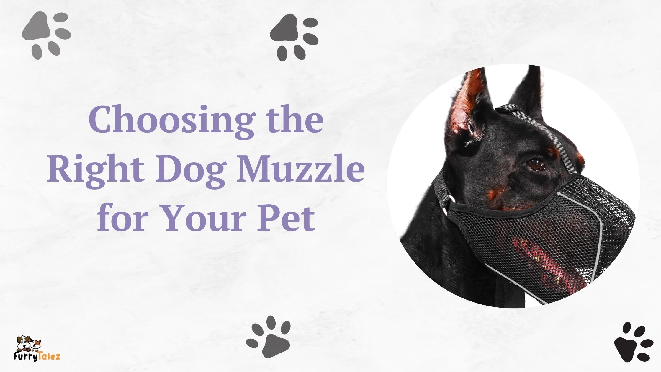 Choosing the Right Dog Muzzle for Your Pet