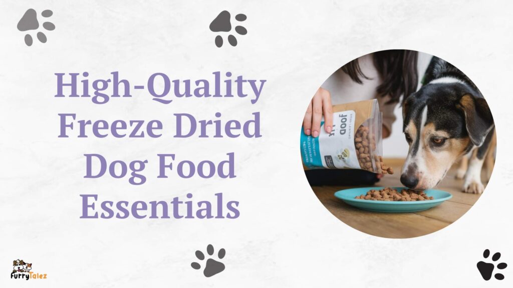 High-Quality Freeze Dried Dog Food Essentials