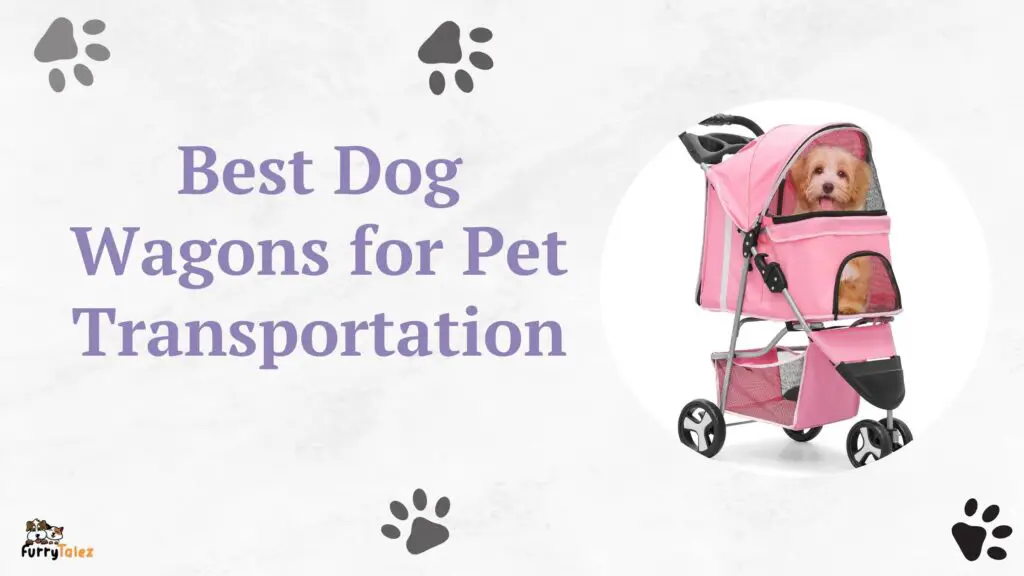 best dog wagon for pet transportation