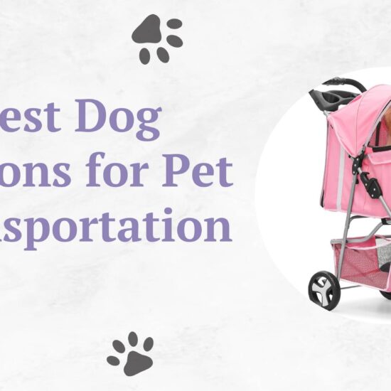 best dog wagon for pet transportation