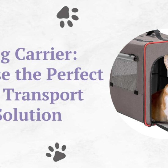 Dog Carrier: Choose the Perfect Pet Transport Solution