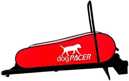 Full Size Dog Pacer Treadmill