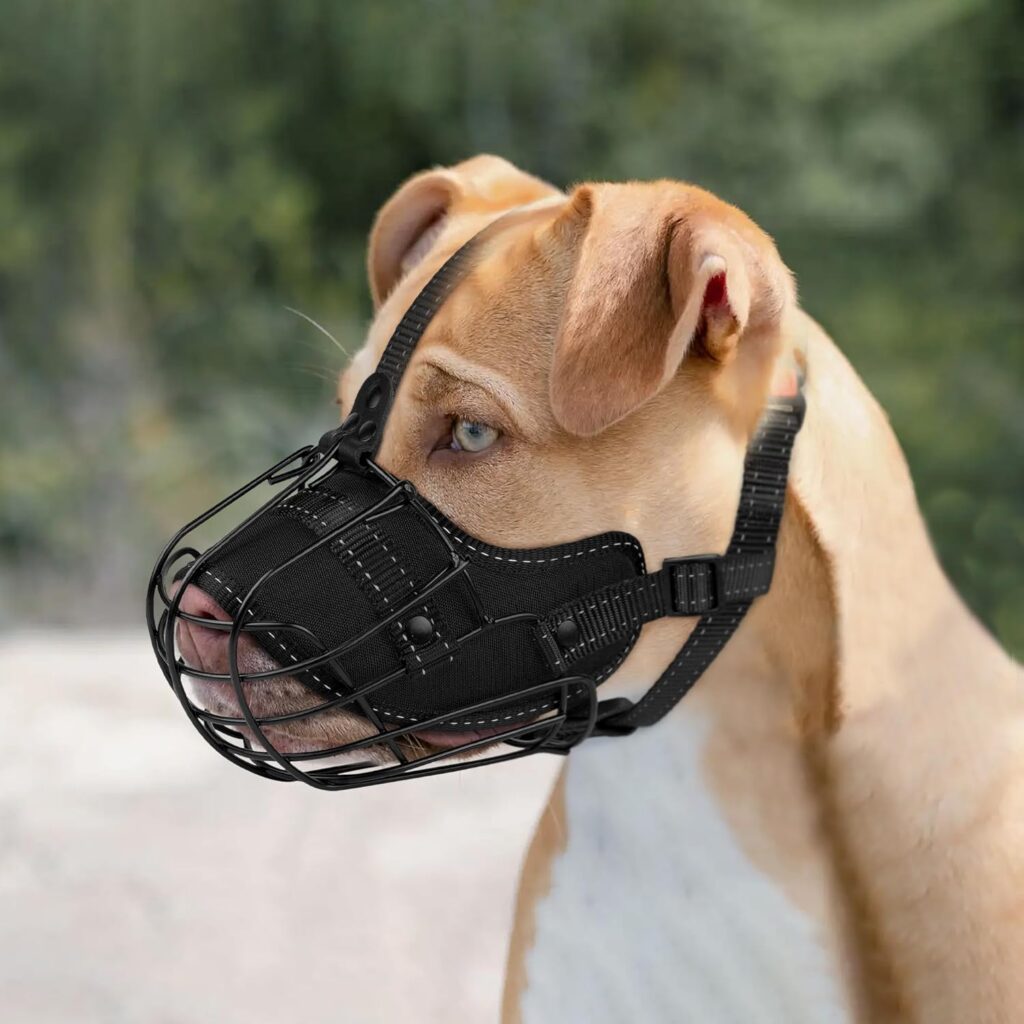 OOPSDOGGY Pitbull Dog Muzzle