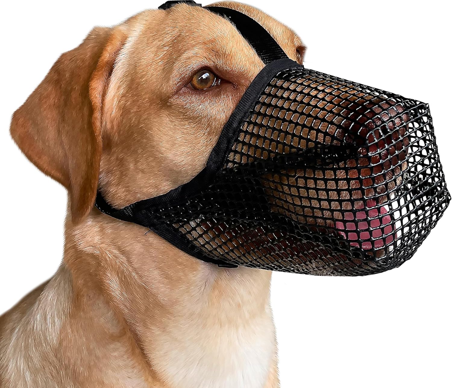 Mayerzon Dog Muzzle