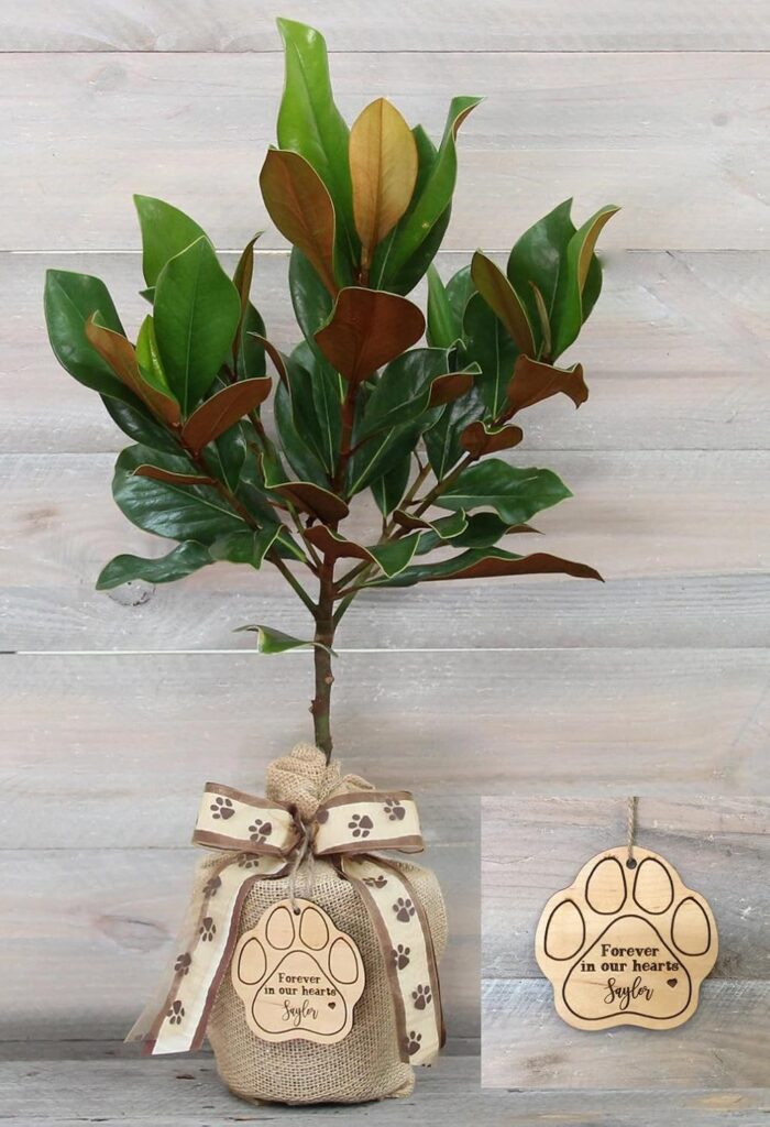 Southern Magnolia Pet Sympathy Gift Tree 