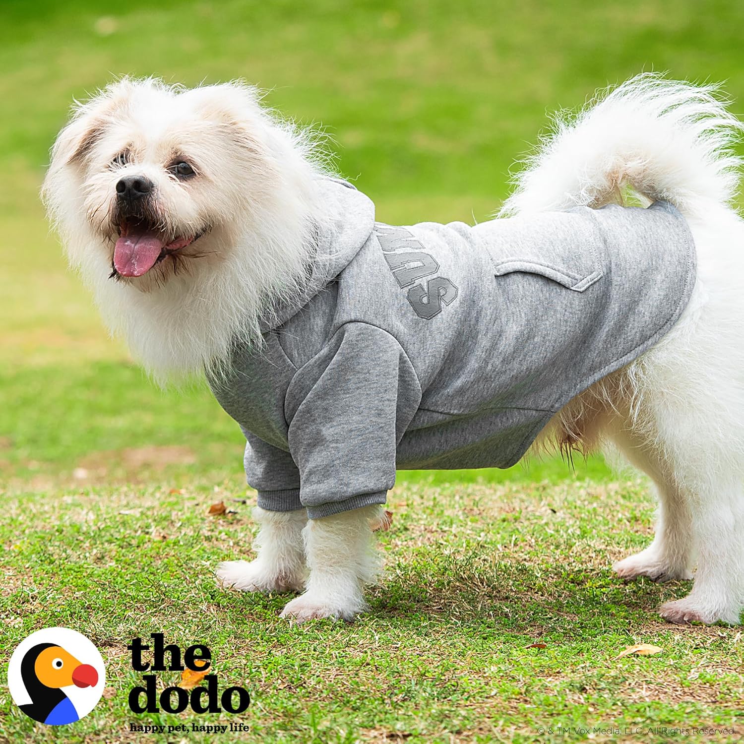 The Dodo Heather Gray ‘Sundays’ Hoodie for Dogs,