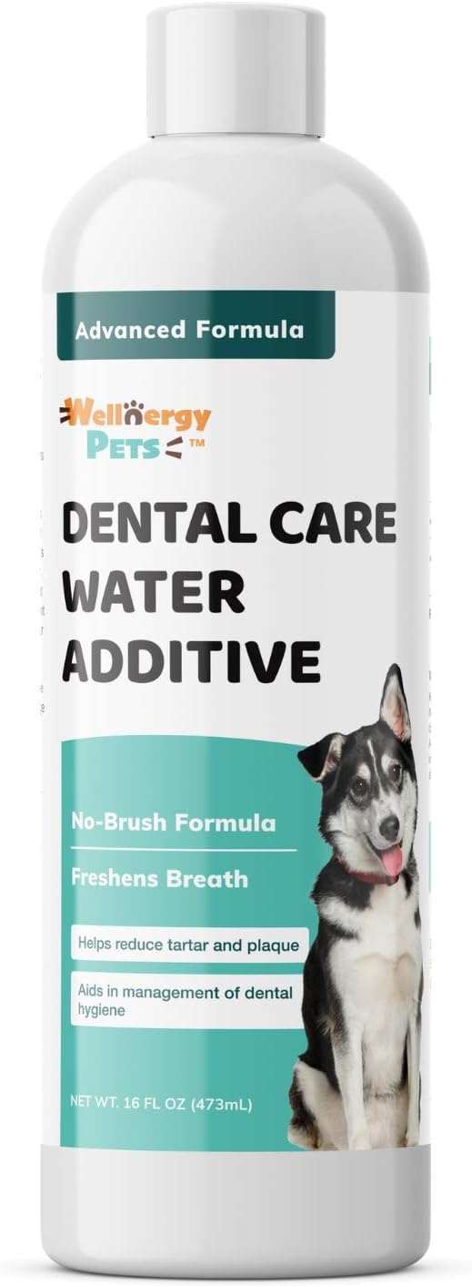 Dental Care Water Additive for Dogs & Cats