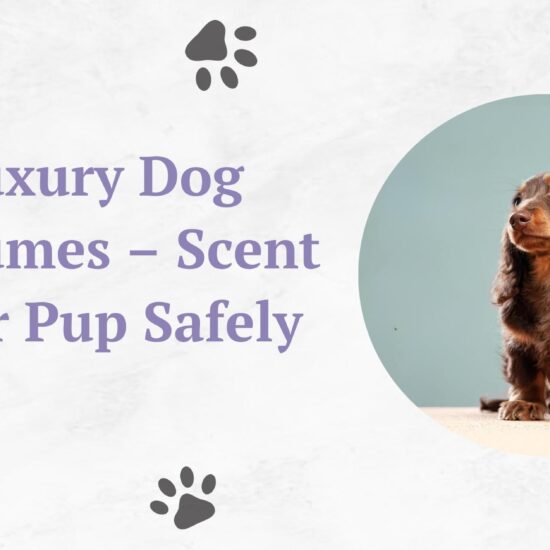 dog perfume