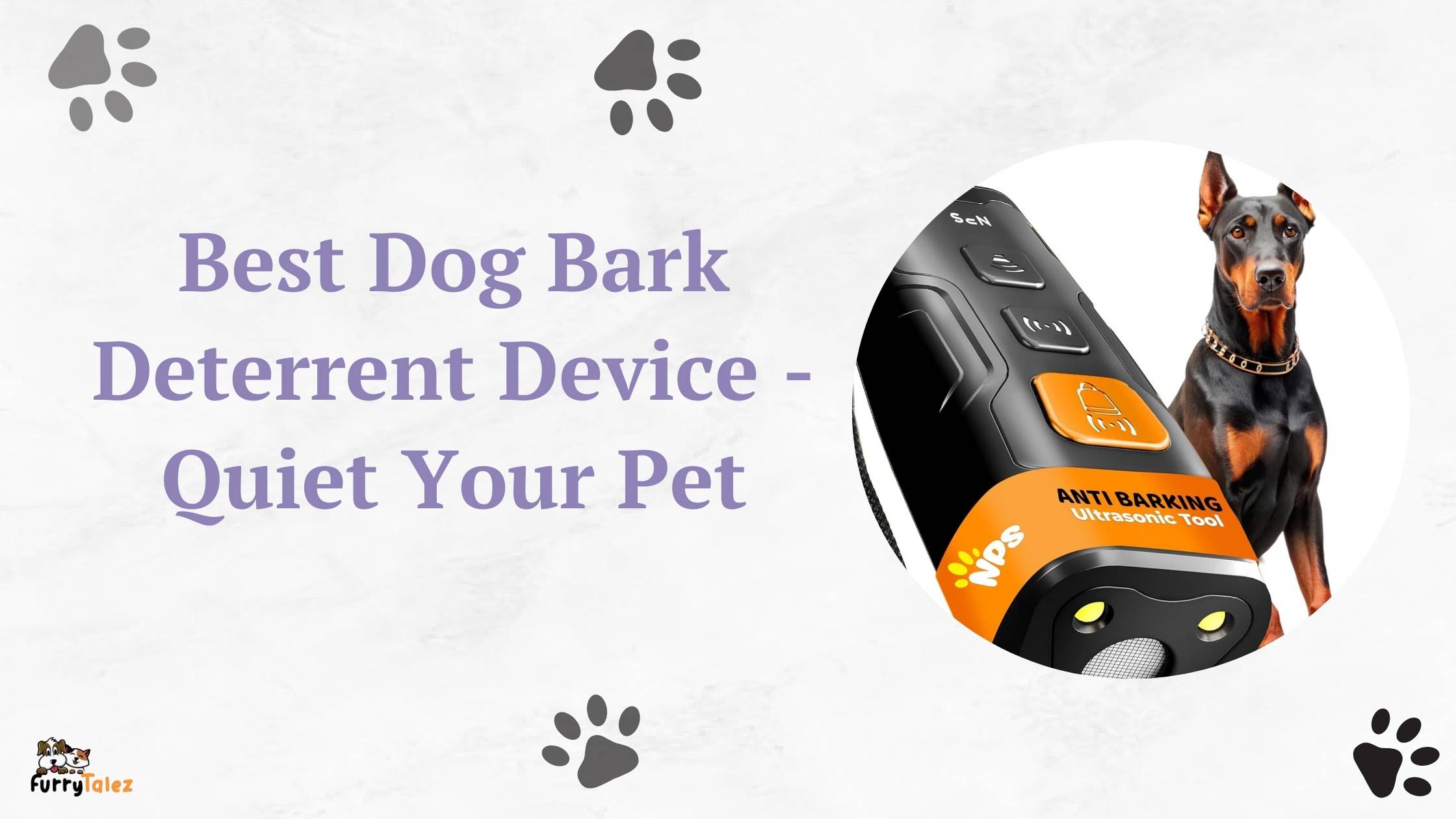 Best Dog Bark Deterrent Device - Quiet Your Pet