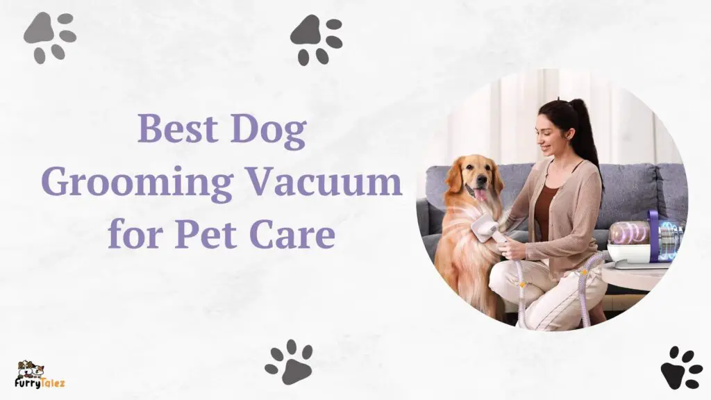 Best Dog Grooming Vacuum for Pet Care