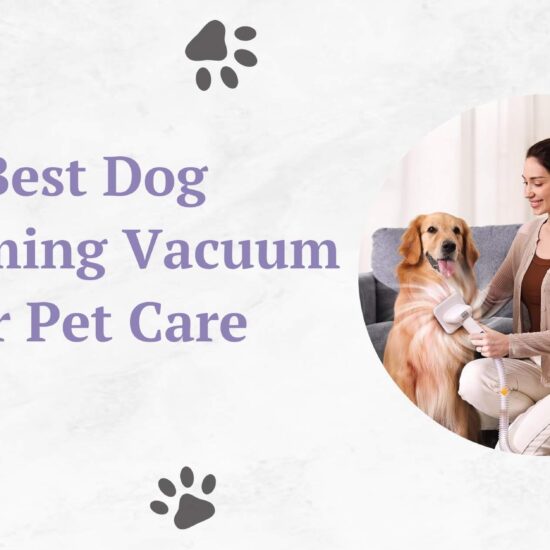 Best Dog Grooming Vacuum for Pet Care