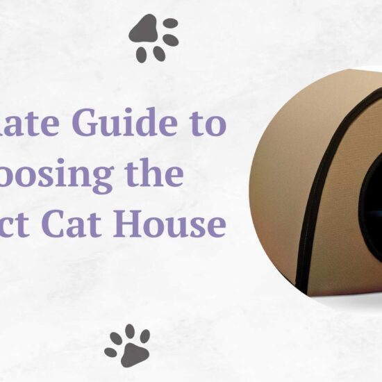 Ultimate Guide to Choosing the Perfect Cat House