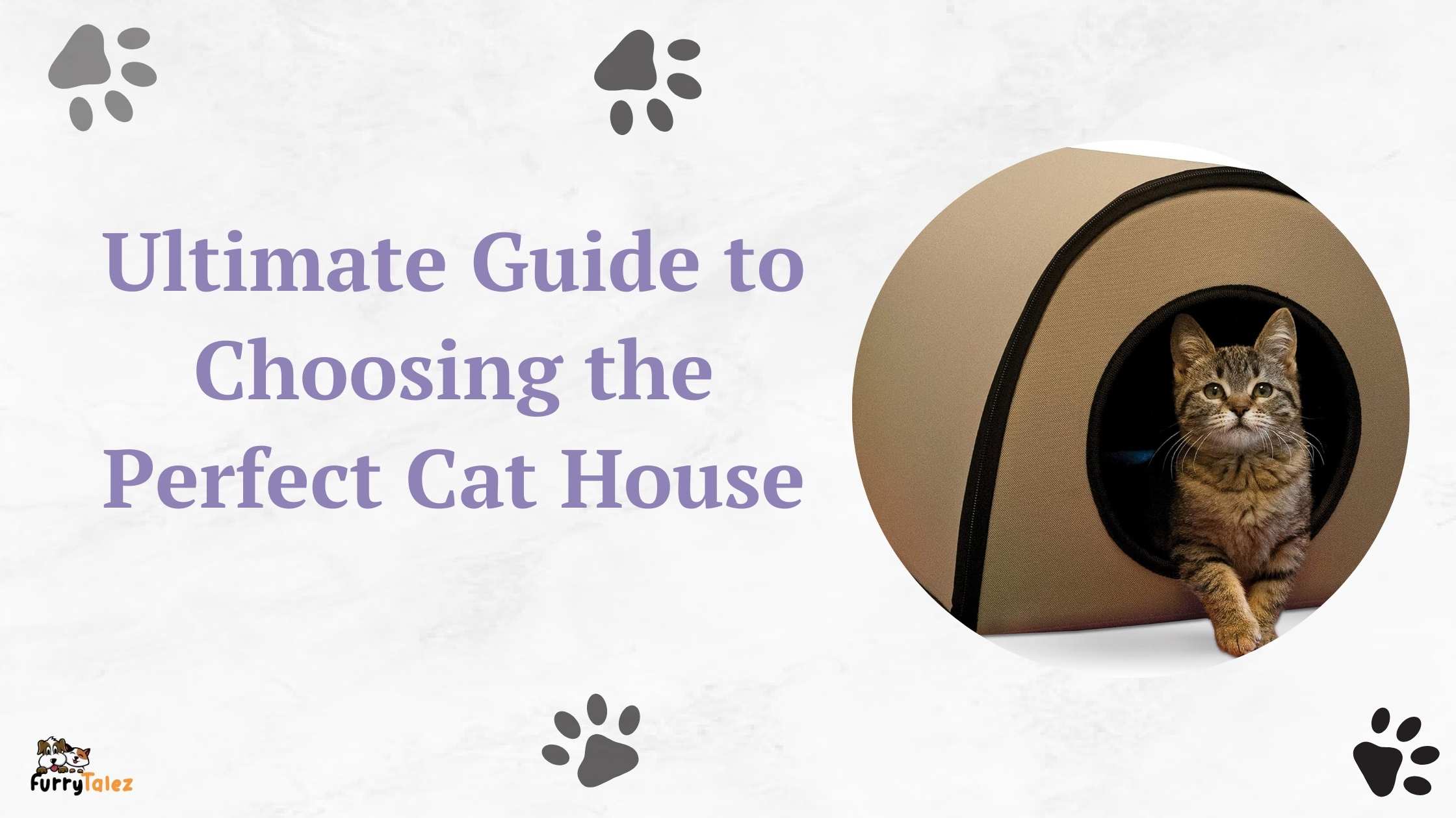 Ultimate Guide to Choosing the Perfect Cat House