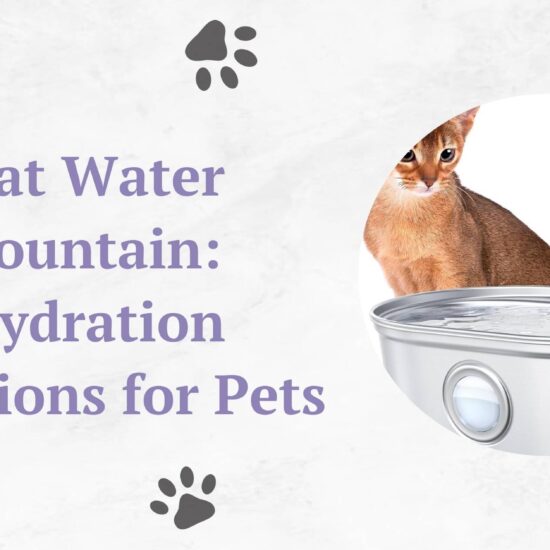 cat water fountain