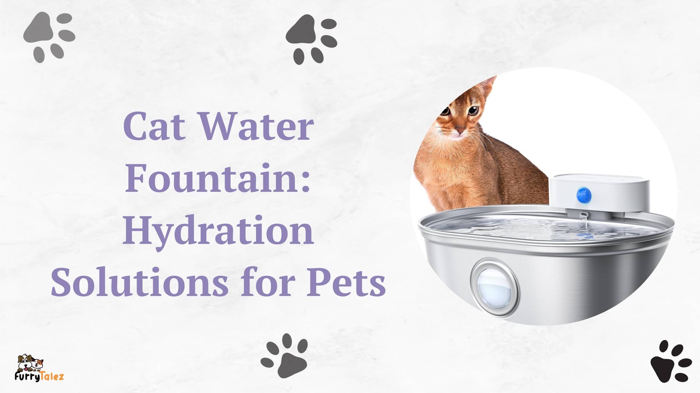 cat water fountain