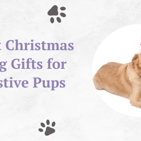 christmas dog gifts for festive dogs