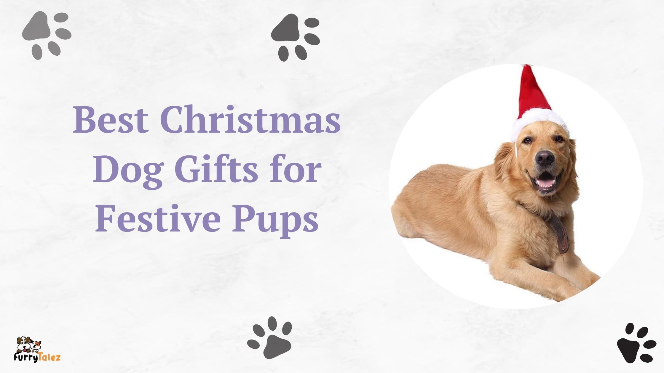 christmas dog gifts for festive dogs