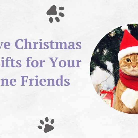 christmas gifts for cats