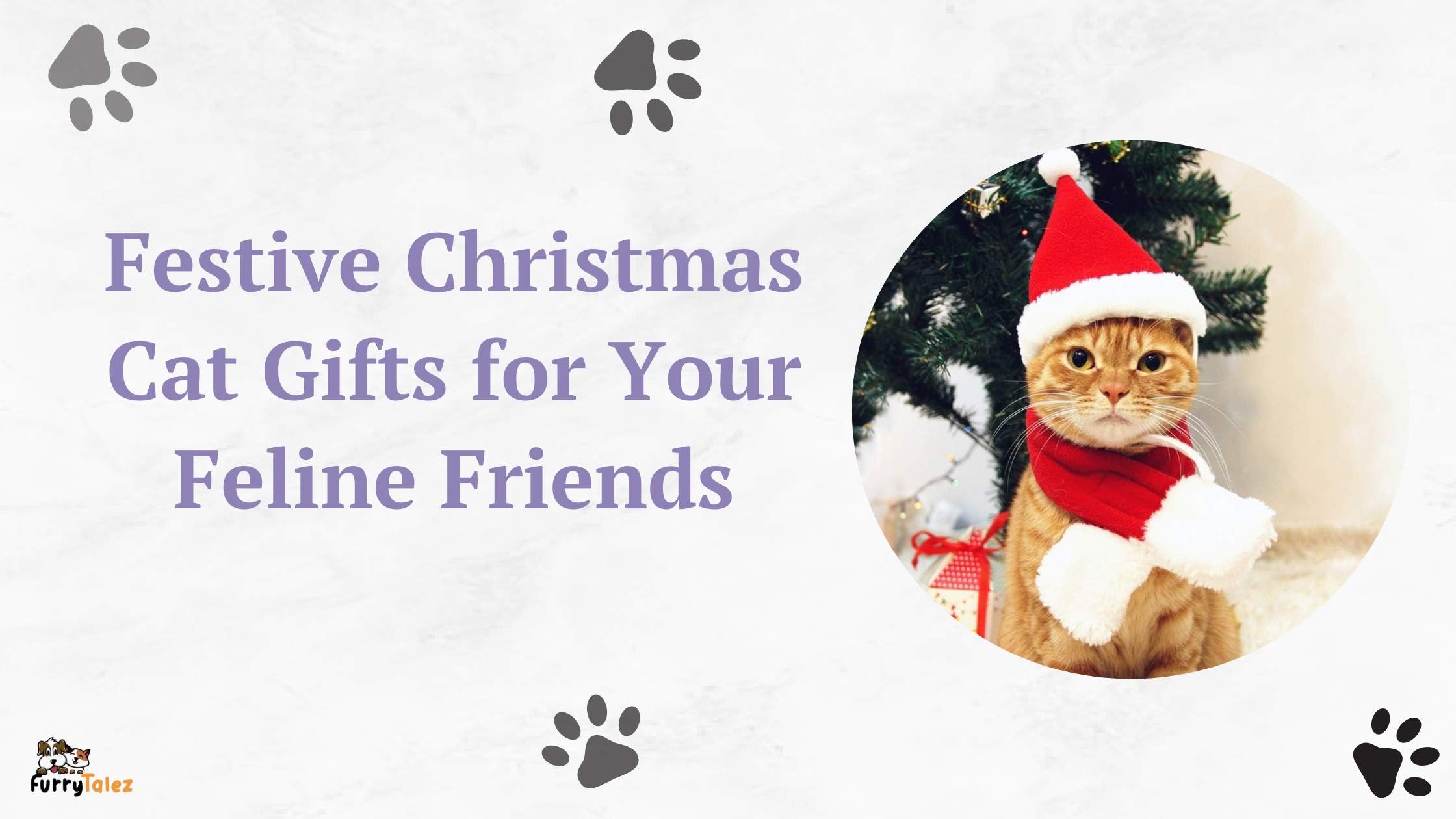 christmas gifts for cats