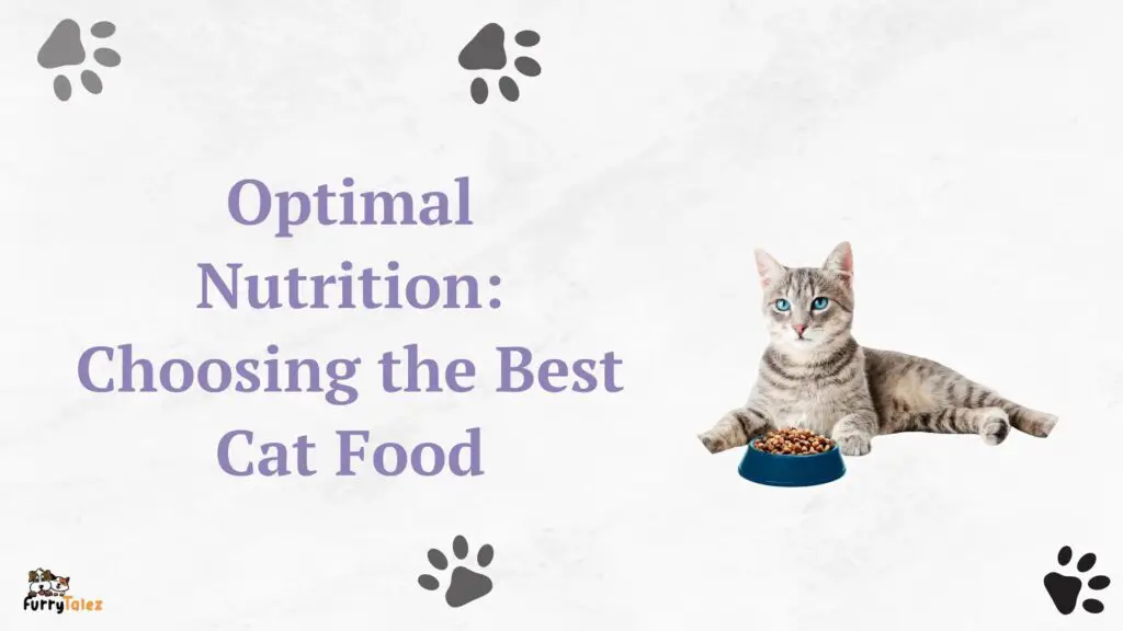 best cat food