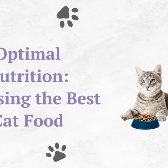 best cat food