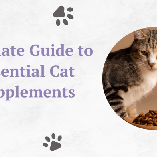 cat supplements