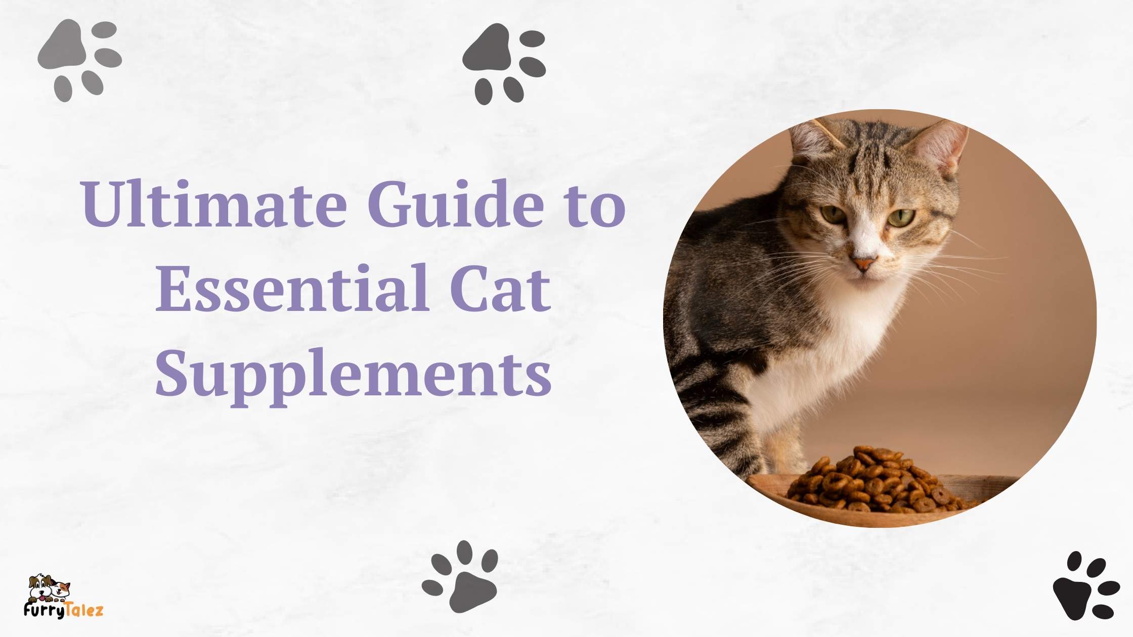 cat supplements